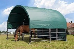 Abri chevaux 